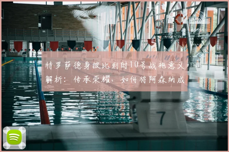特罗萨德身披比利时10号战袍意义解析：传承荣耀，如何将阿森纳成功经验注入2026国家队征程